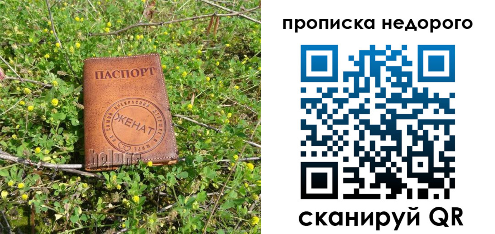 регистрация для дет. сада в Барыше
